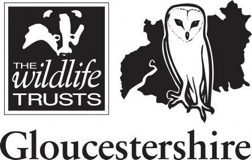 glos-wildlife-trust