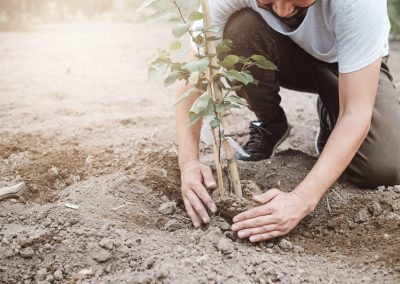 Comparison of Buy to Let Mortgage types